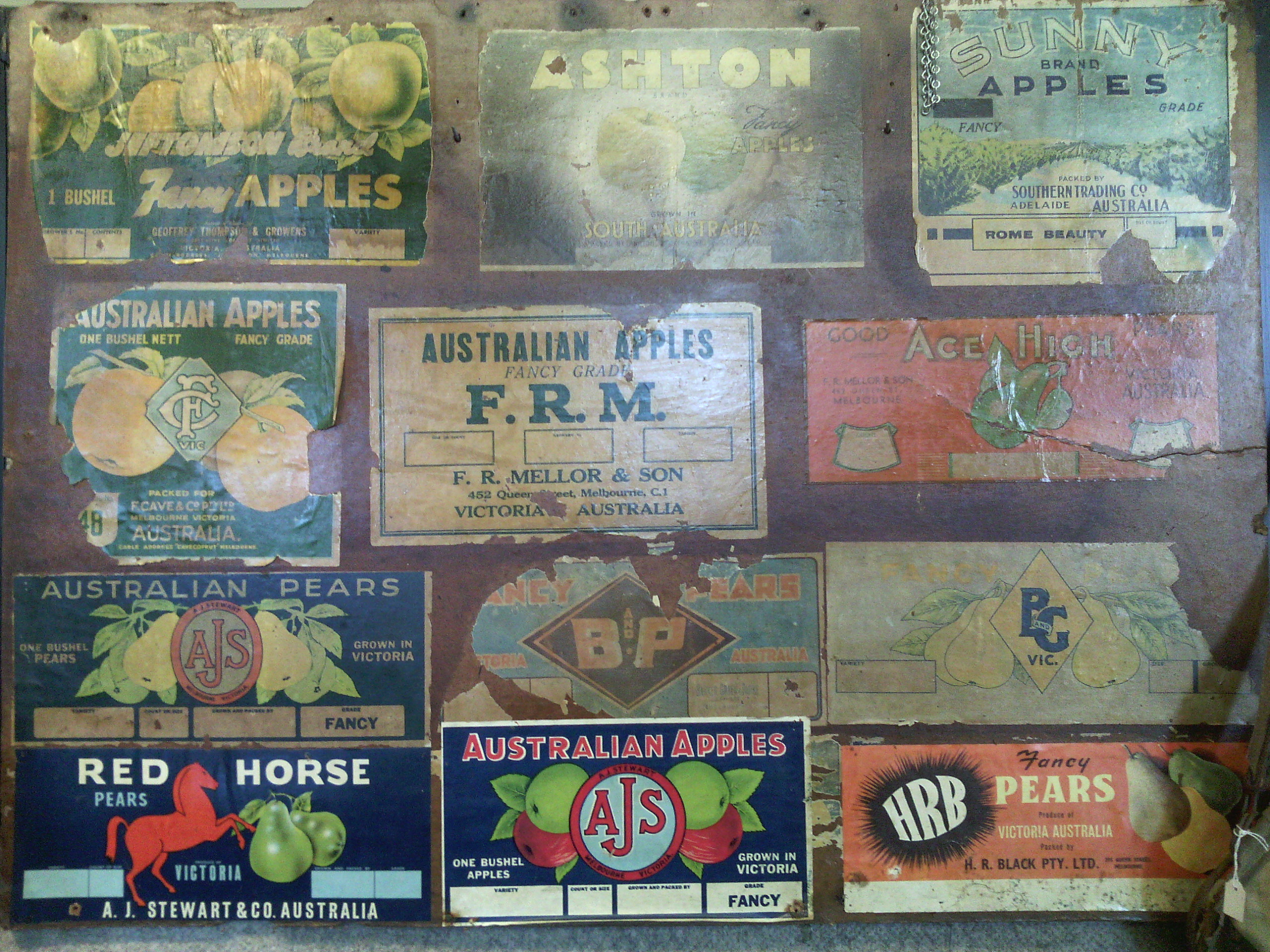 Harcourt Apple Brands