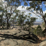 Mount Alexander Panorama