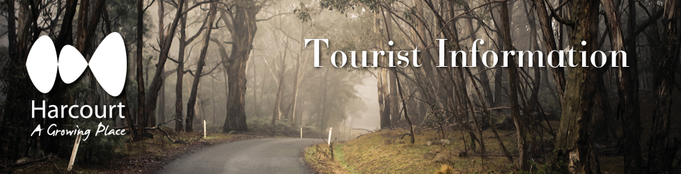 Explore Harcourt, Tourist Information